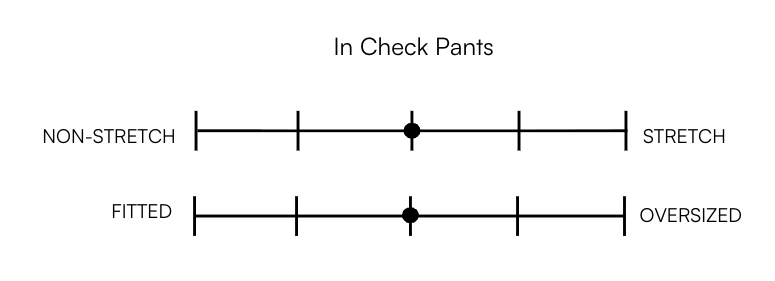 IN CHECK PANTS
