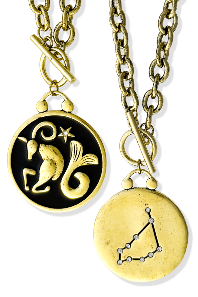 pebby forevee Necklace WHAT'S YOUR SIGN DOUBLE SIDED STATEMENT NECKLACE